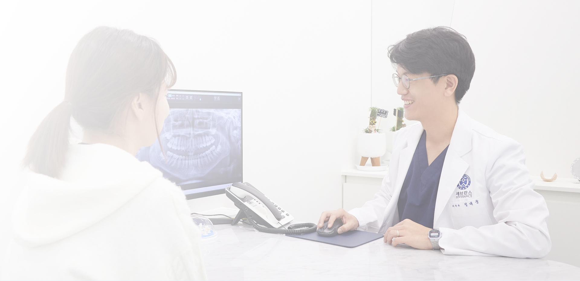 연세정치과